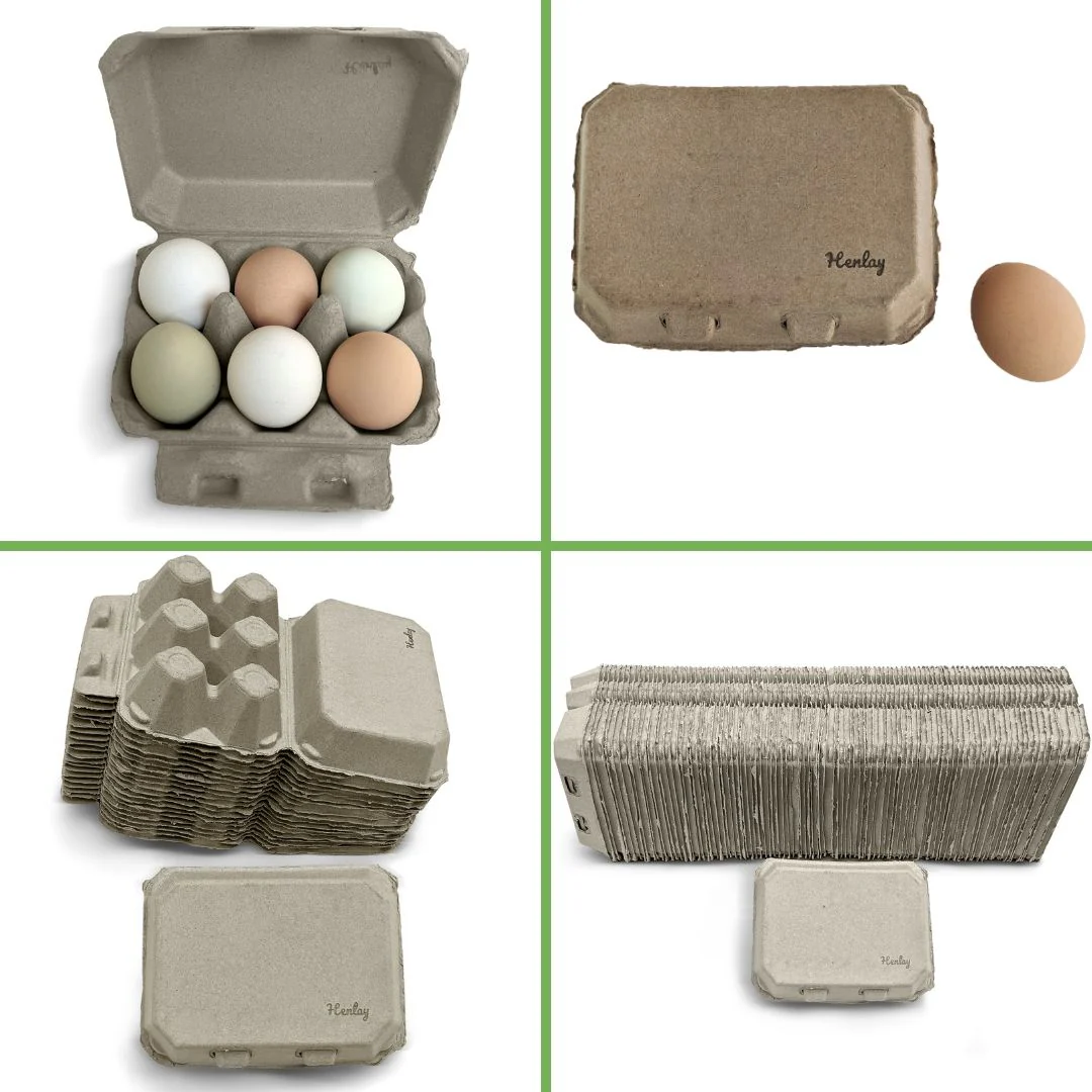 Half Dozen Egg Cartons - Henlay Blank Flat Top, Six Pack, 2 colors, 20 or 100 - Buy Pet Shop