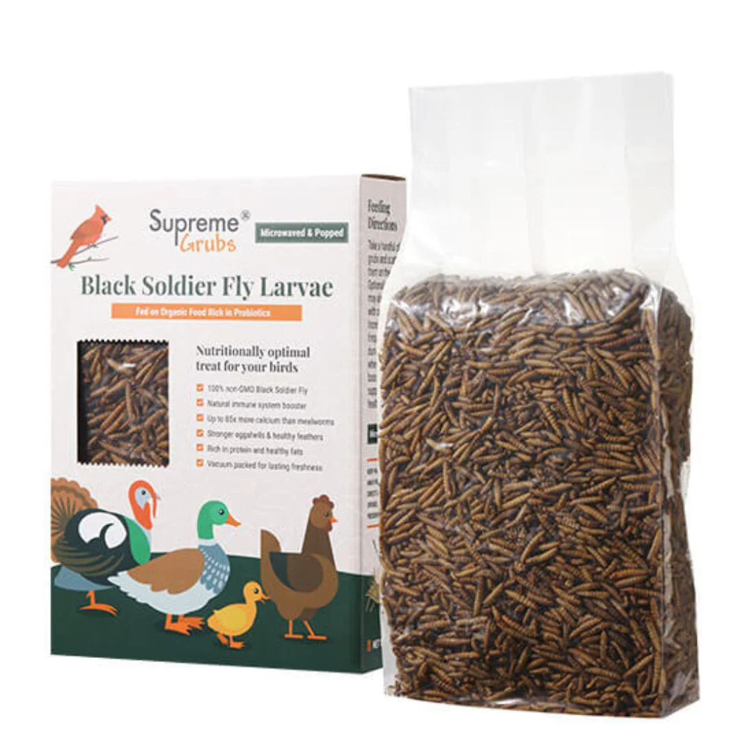Supreme Grubs Black Soldier Fly Larvae, 2 Sizes - Buy Pet Shop