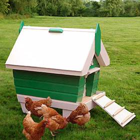 Beach Hutchy Building Plans (Up to 4 chickens) - Buy Pet Shop