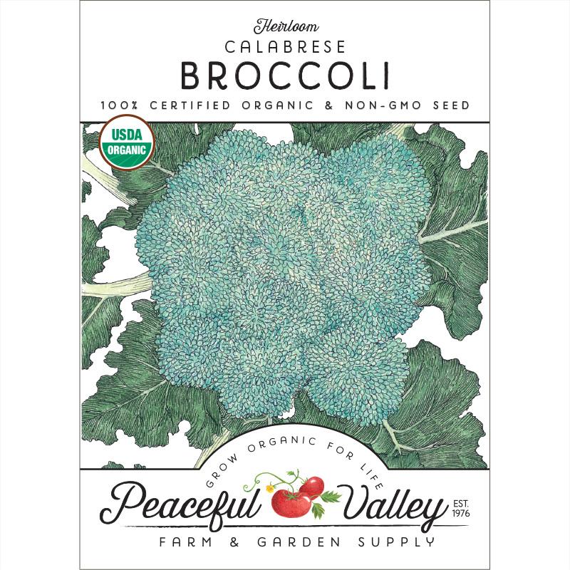 Calabrese Broccoli Seeds (Organic) - Buy Pet Shop