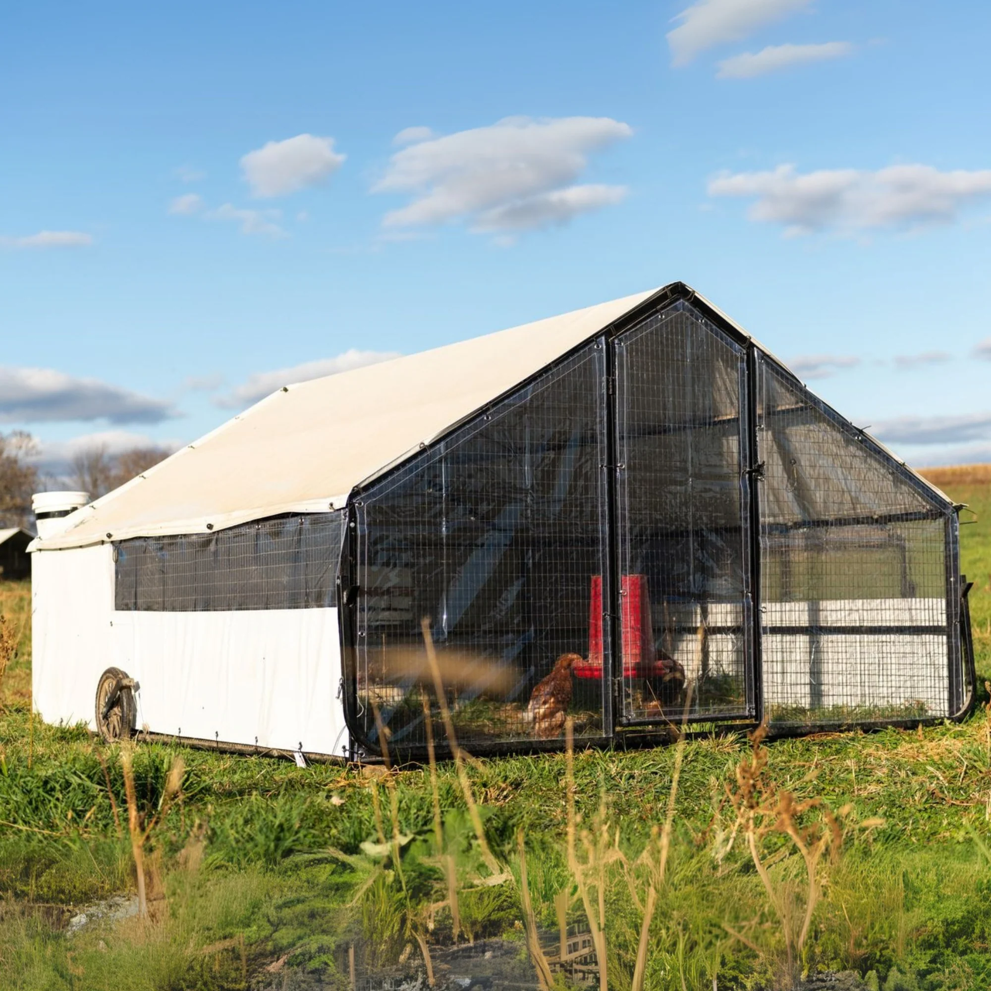 Porta-Coop 10'x12' Winter Enclosure - Buy Pet Shop