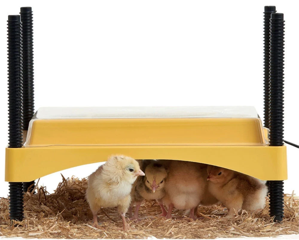 EcoGlow 600 Chick Brooder and Replacement Covers - Buy Pet Shop