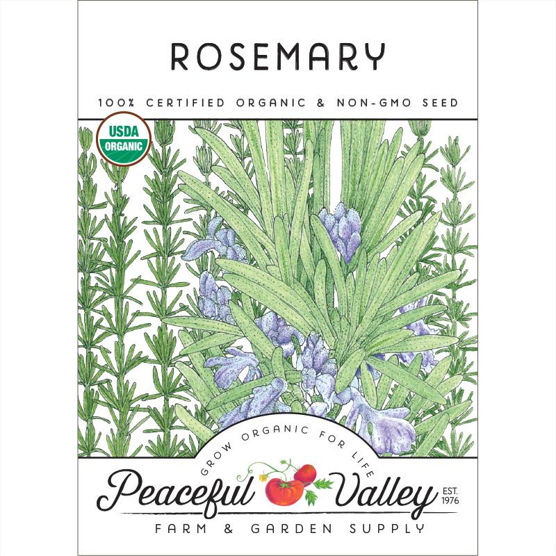 Rosemary Seeds (Organic) - Buy Pet Shop