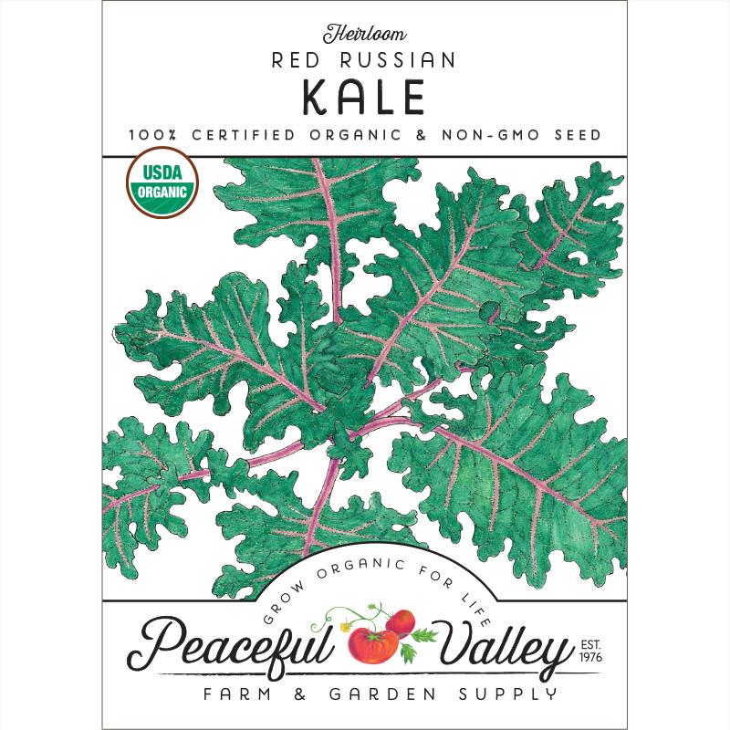 Red Russian Kale Seeds (Organic) - Buy Pet Shop
