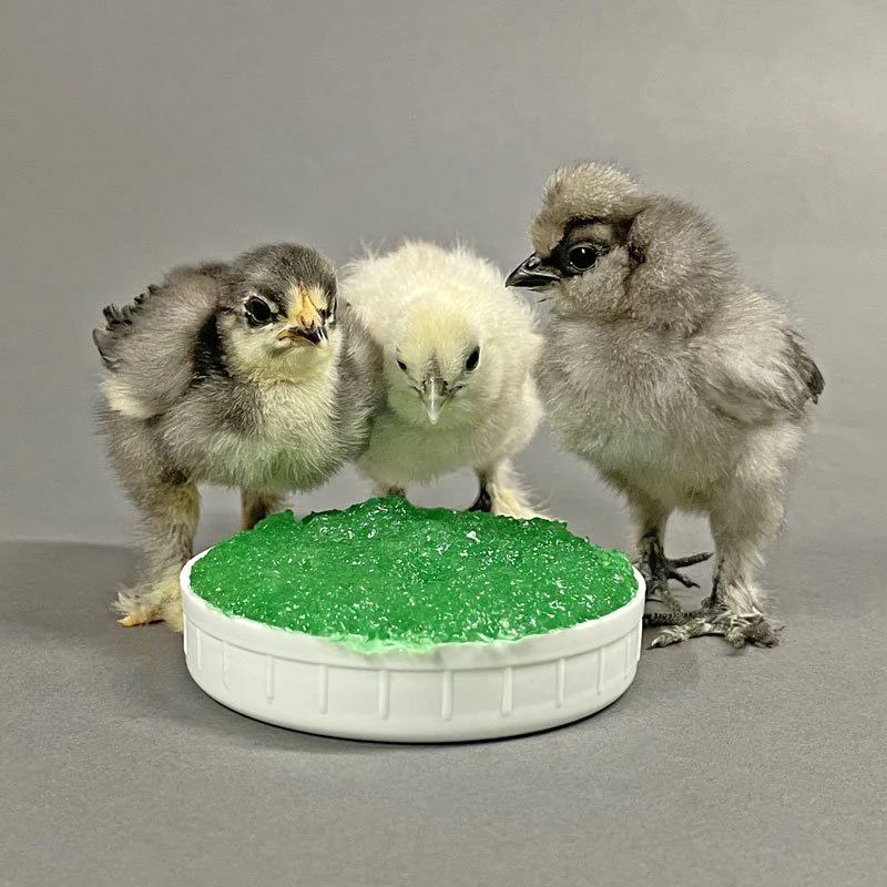 GroGel Plus B (100 doses) - Buy Pet Shop