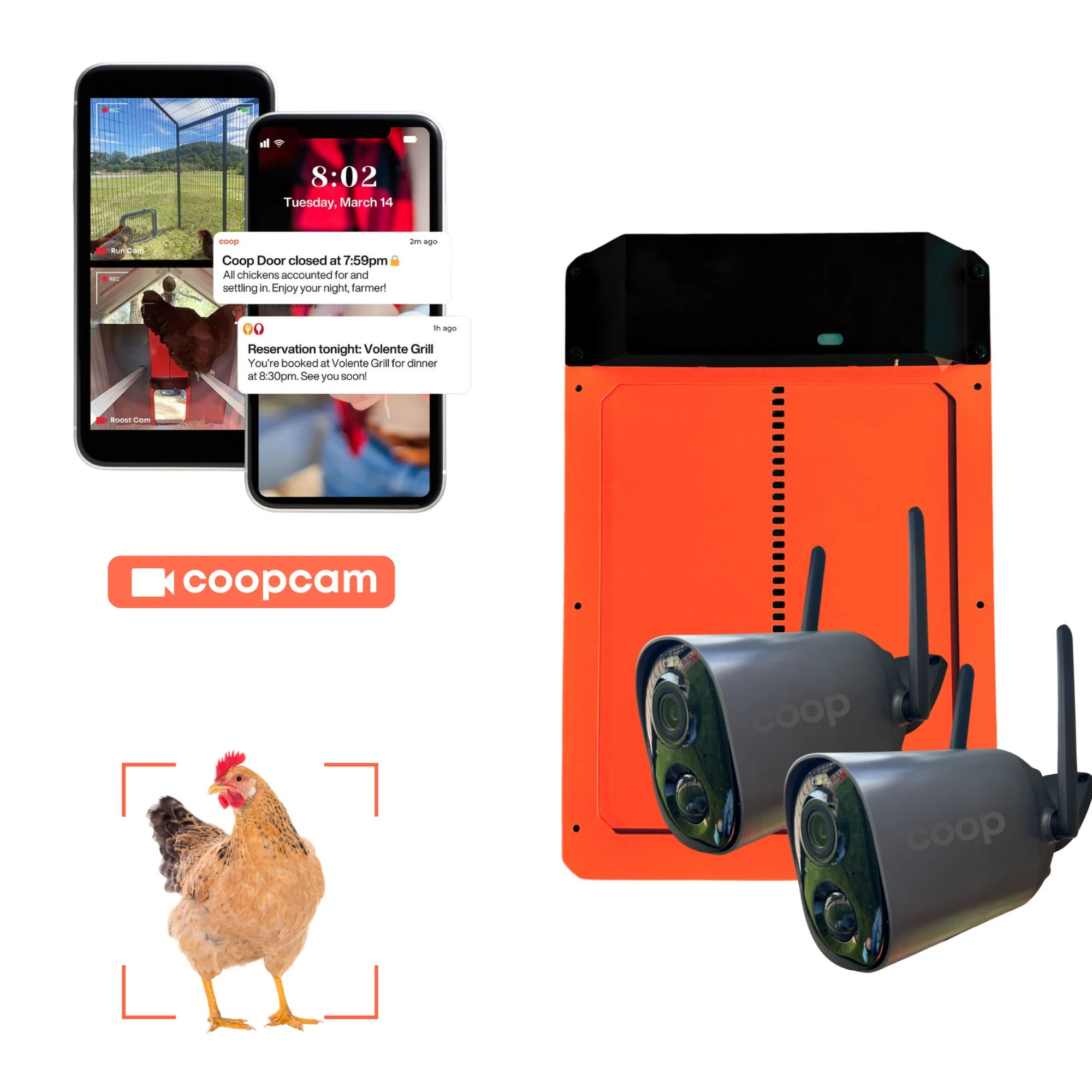 Smart Coop Kit - Buy Pet Shop