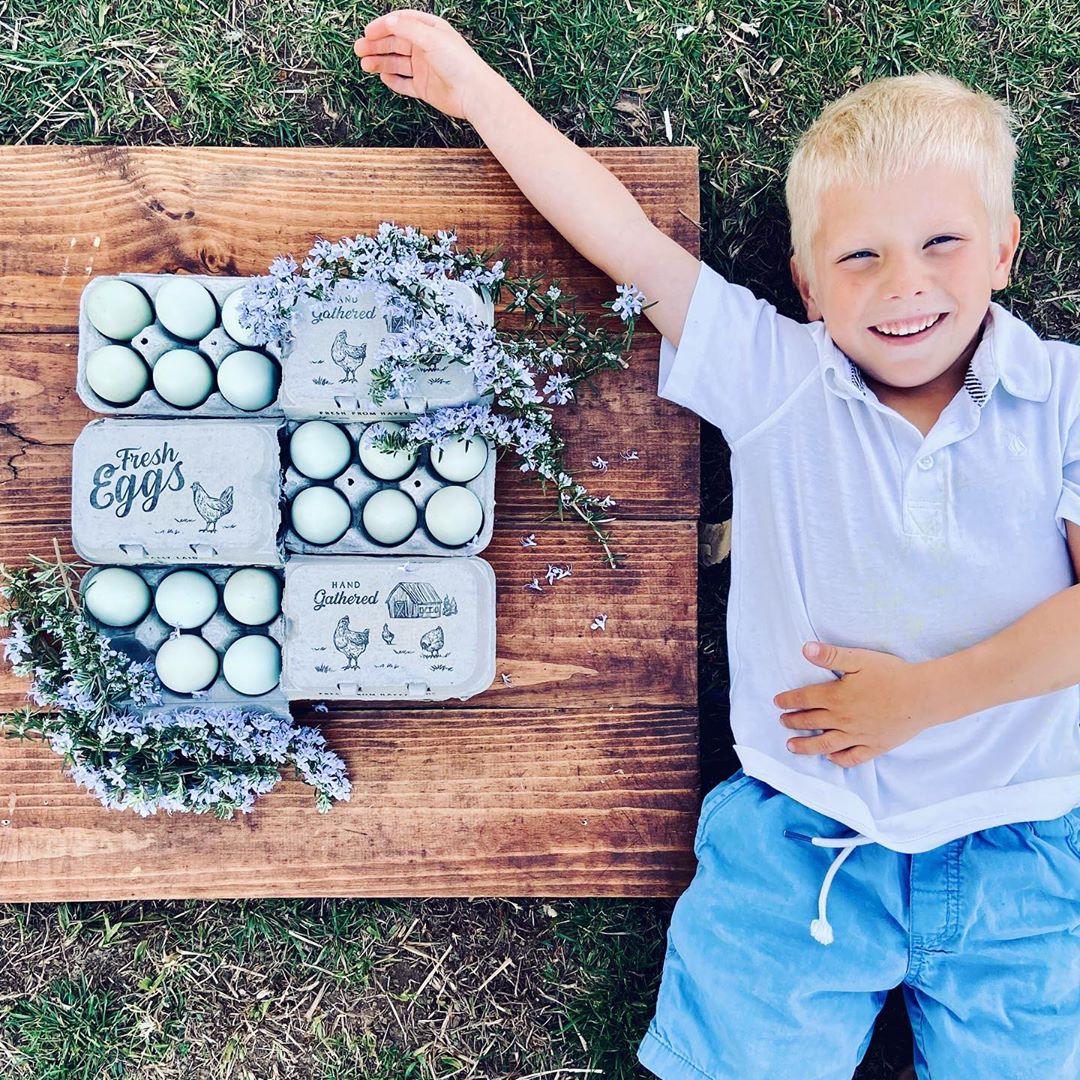 Split-Apart Egg Cartons - Securely Holds 6 or 12 Extra Large Eggs - Buy Pet Shop