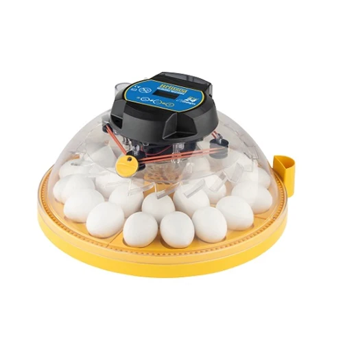 Maxi 24 Zoologica - Exotic Egg Incubator - Buy Pet Shop