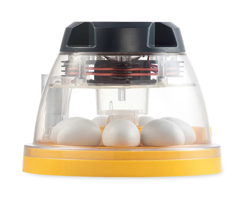 Mini II Advance Incubator (7 Eggs) - Buy Pet Shop