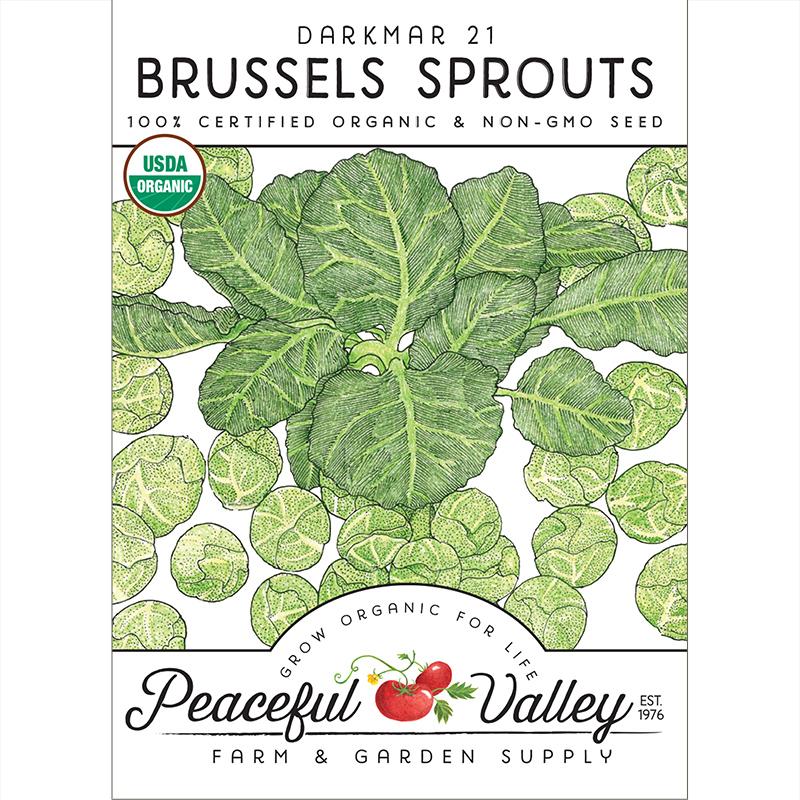 Darkmar 21 Brussels Sprouts Seeds (Organic) - Buy Pet Shop