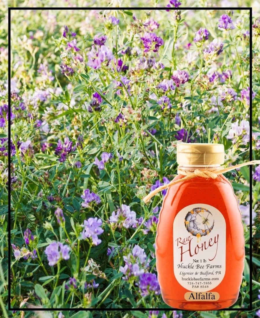 Alfalfa Honey - Buy Pet Shop