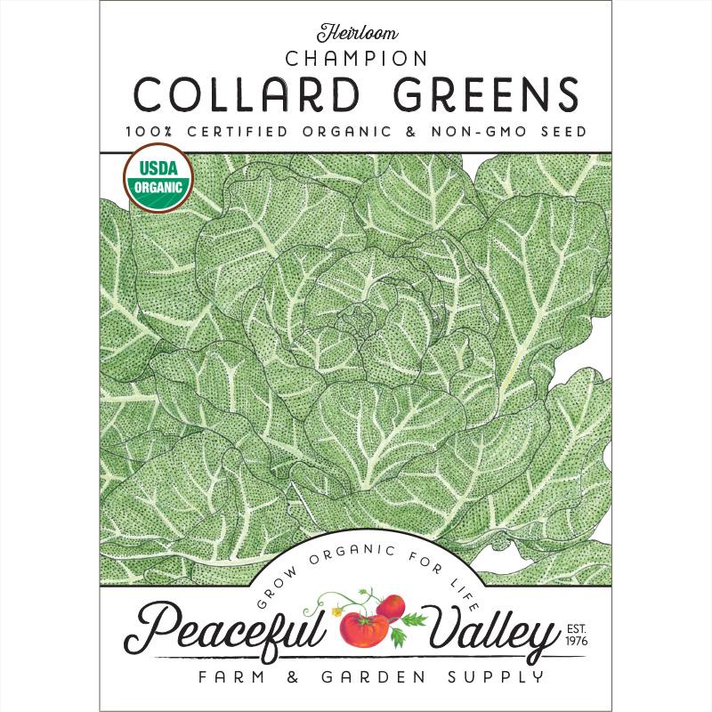 Champion Collard Green Seeds (Organic) - Buy Pet Shop