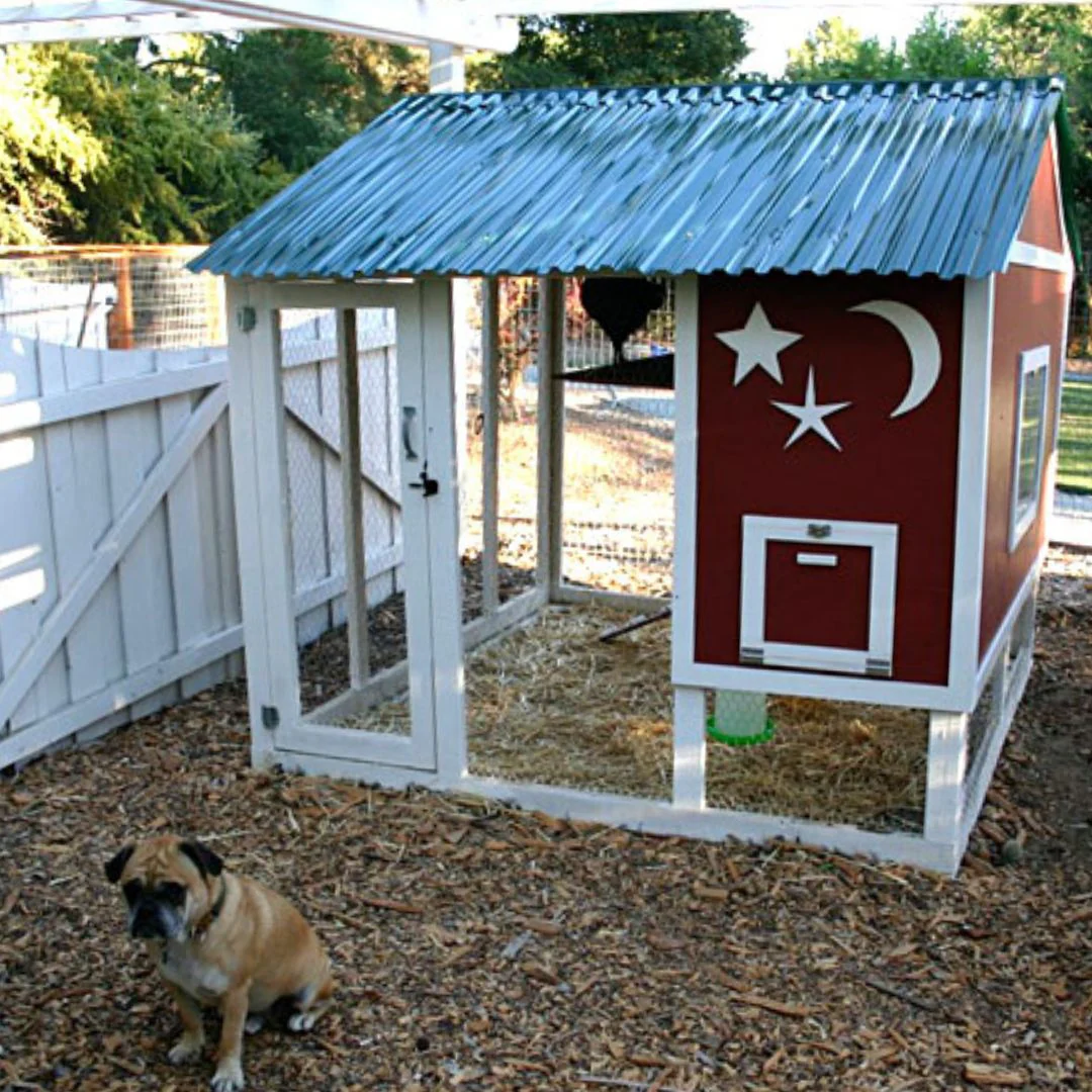 Chicken Coop Plans, two sets! (Up to 10 chickens) - Buy Pet Shop