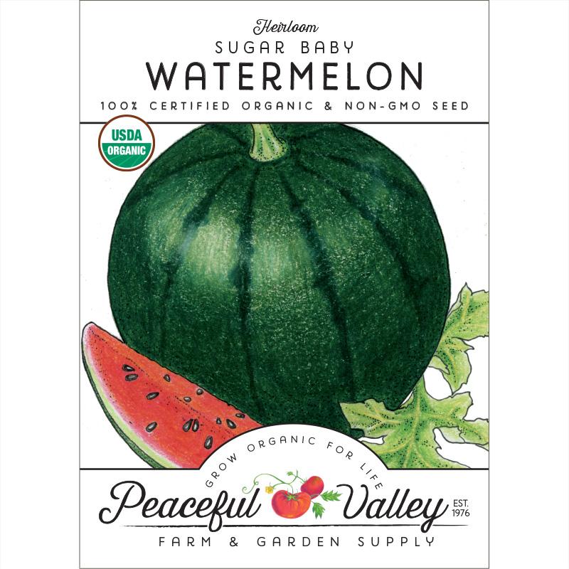 Sugar Baby Watermelon Seeds (Organic) - Buy Pet Shop