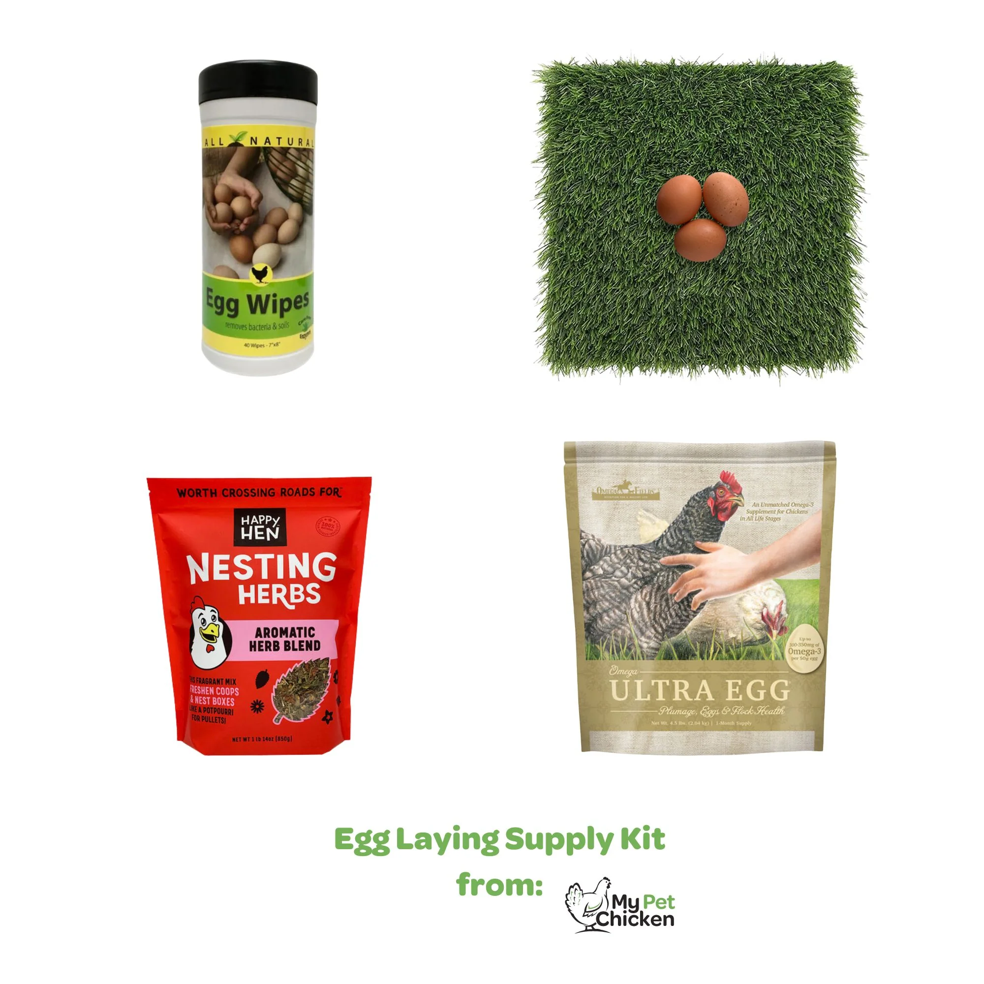 Egg Laying Supply Kit - Buy Pet Shop