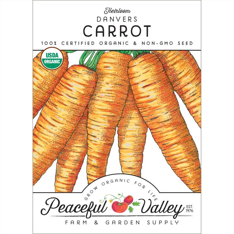 Danvers Carrot Seeds (Organic) - Buy Pet Shop