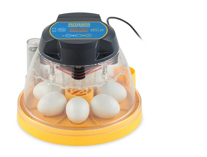 Brinsea Mini II Advance Classroom Incubator and Brooder Pack - Buy Pet Shop