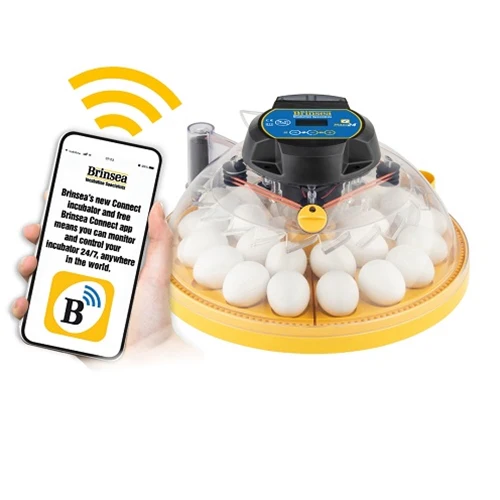 Maxi 24 EX Connect App Controlled Incubator - Buy Pet Shop