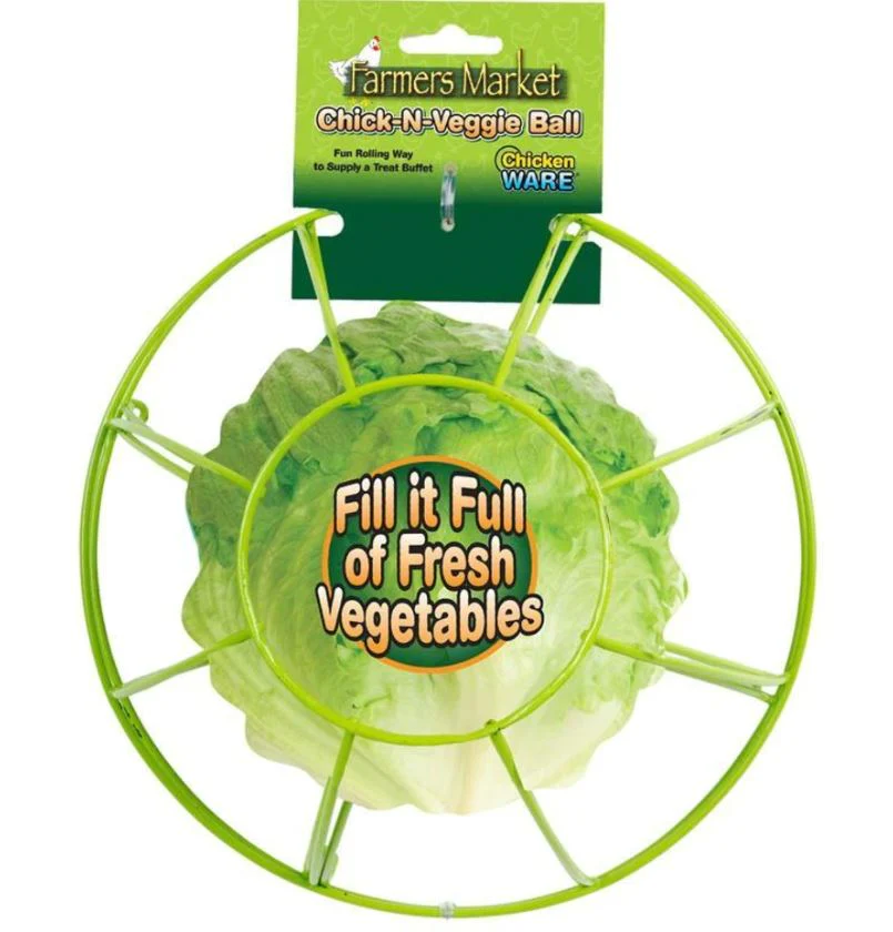Chicken Treat Ball - Fill with Vegetables - Buy Pet Shop