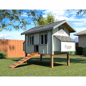 Daisy Coop w/ Run Building Plans (12 chickens) - Buy Pet Shop