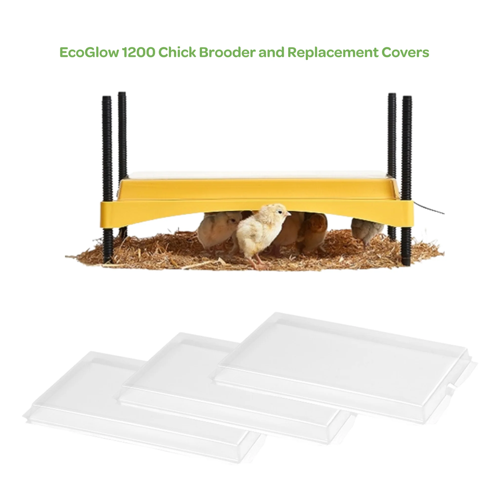 EcoGlow 1200 Chick Brooder and Replacement Covers - Buy Pet Shop