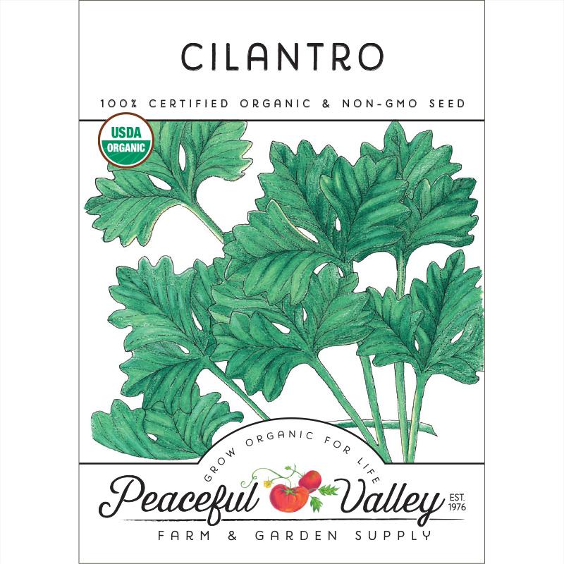 Cilantro Seeds (Organic) - Buy Pet Shop