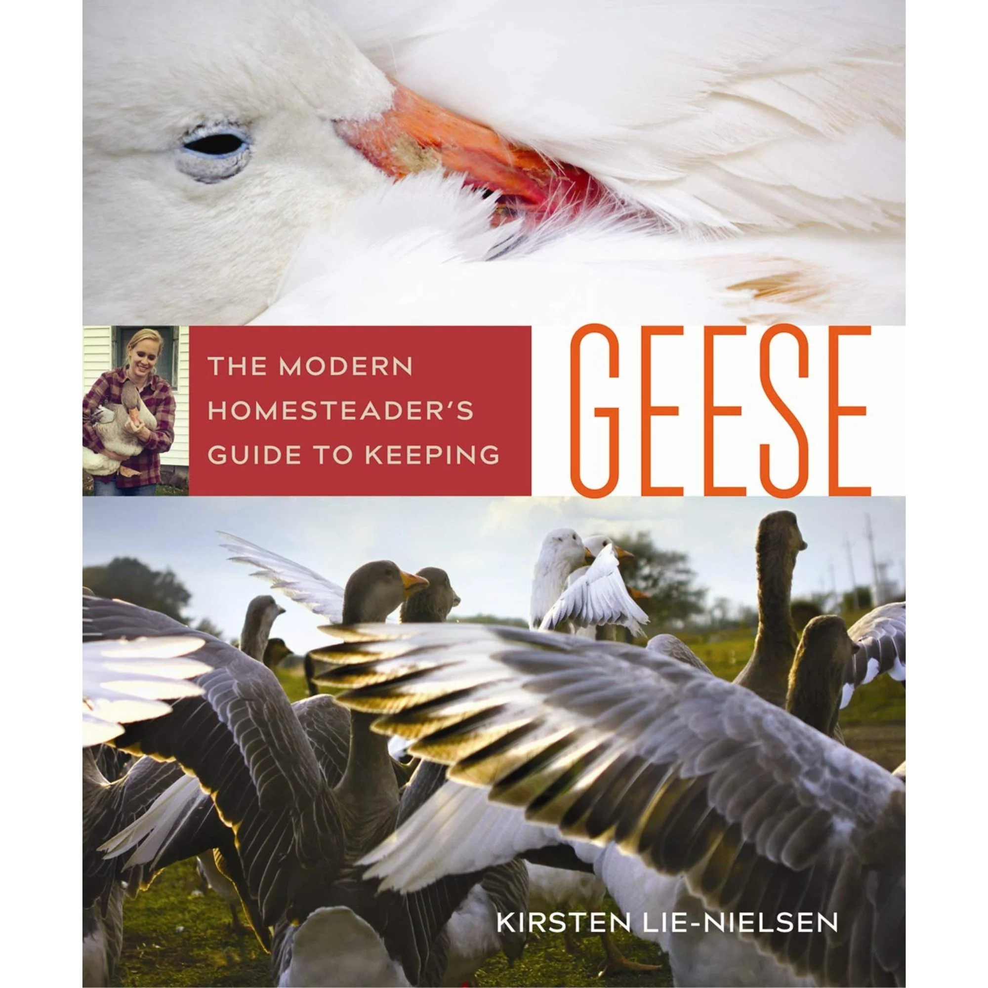 The Modern Homesteader's Guide to Keeping Geese - Buy Pet Shop