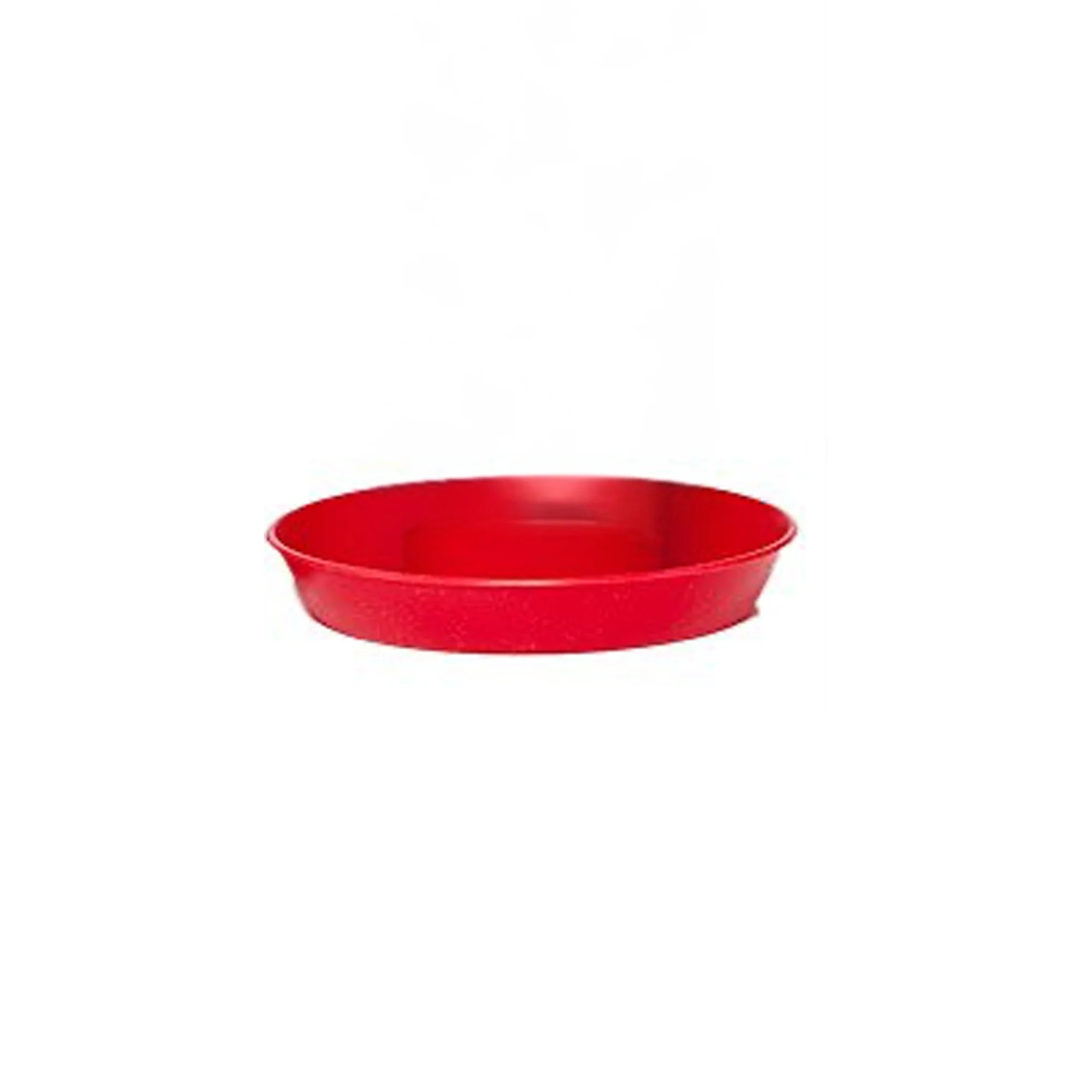 Base for Chick Waterer - Buy Pet Shop