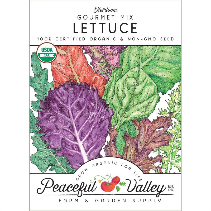 Gourmet Mix Lettuce Seeds (Organic) - Buy Pet Shop