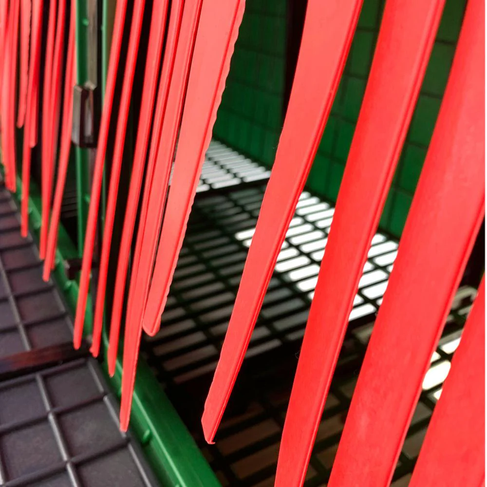 Front Collection Nesting Box - 6 Sections - Buy Pet Shop