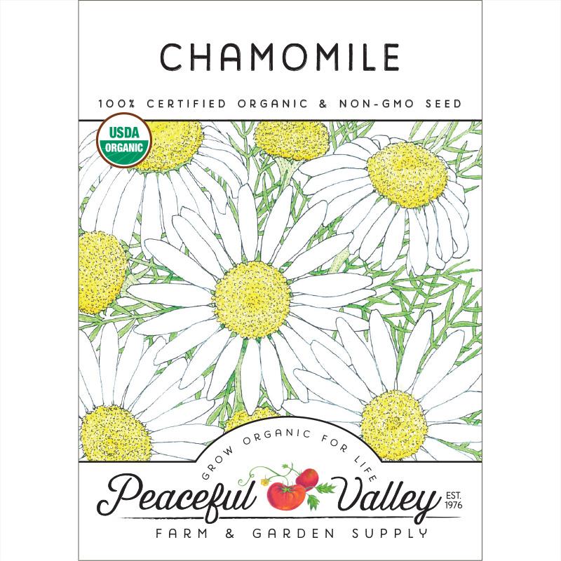 Chamomile Seeds (Organic) - Buy Pet Shop