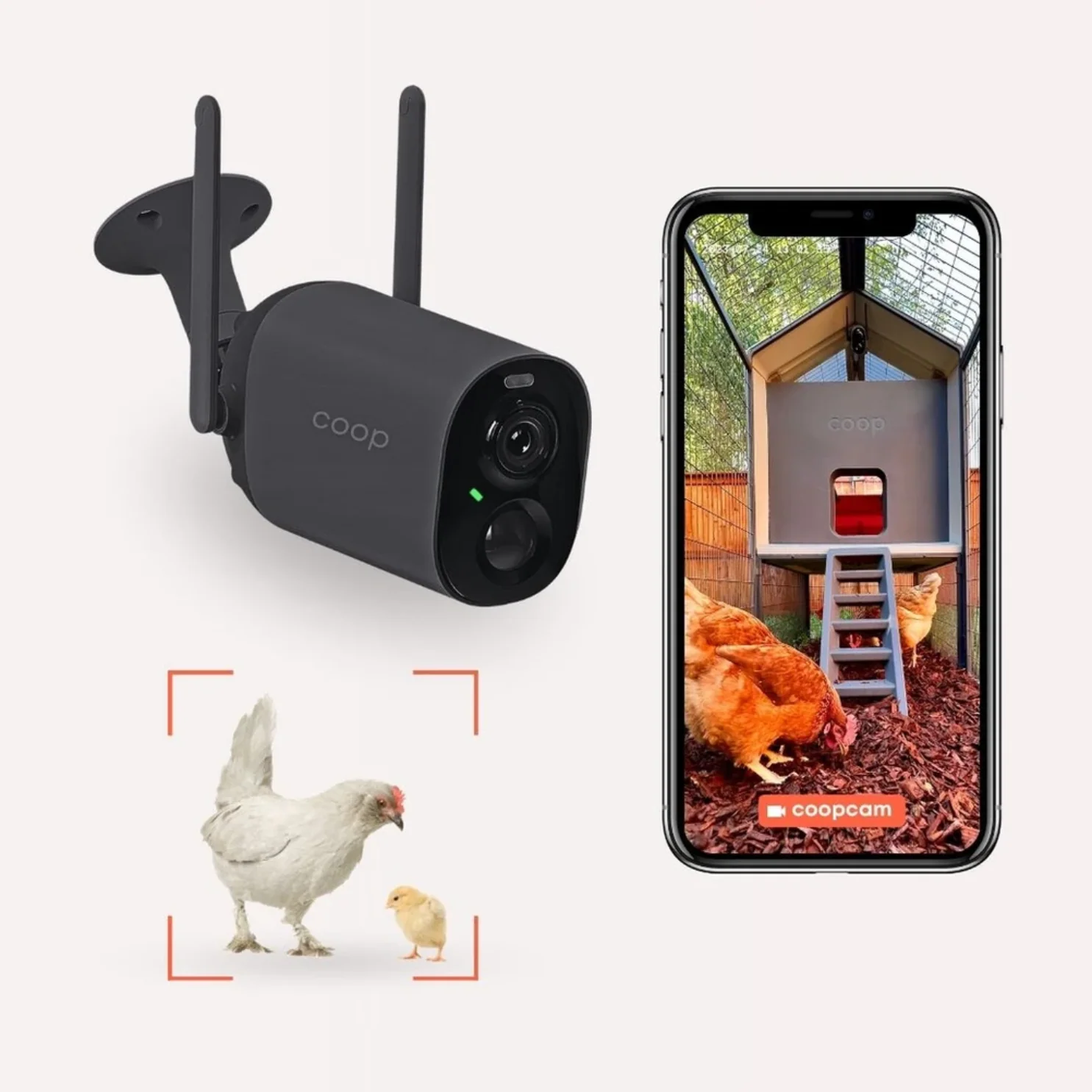 EggsteinAI CoopCam: 24/7 Flock Security - Buy Pet Shop