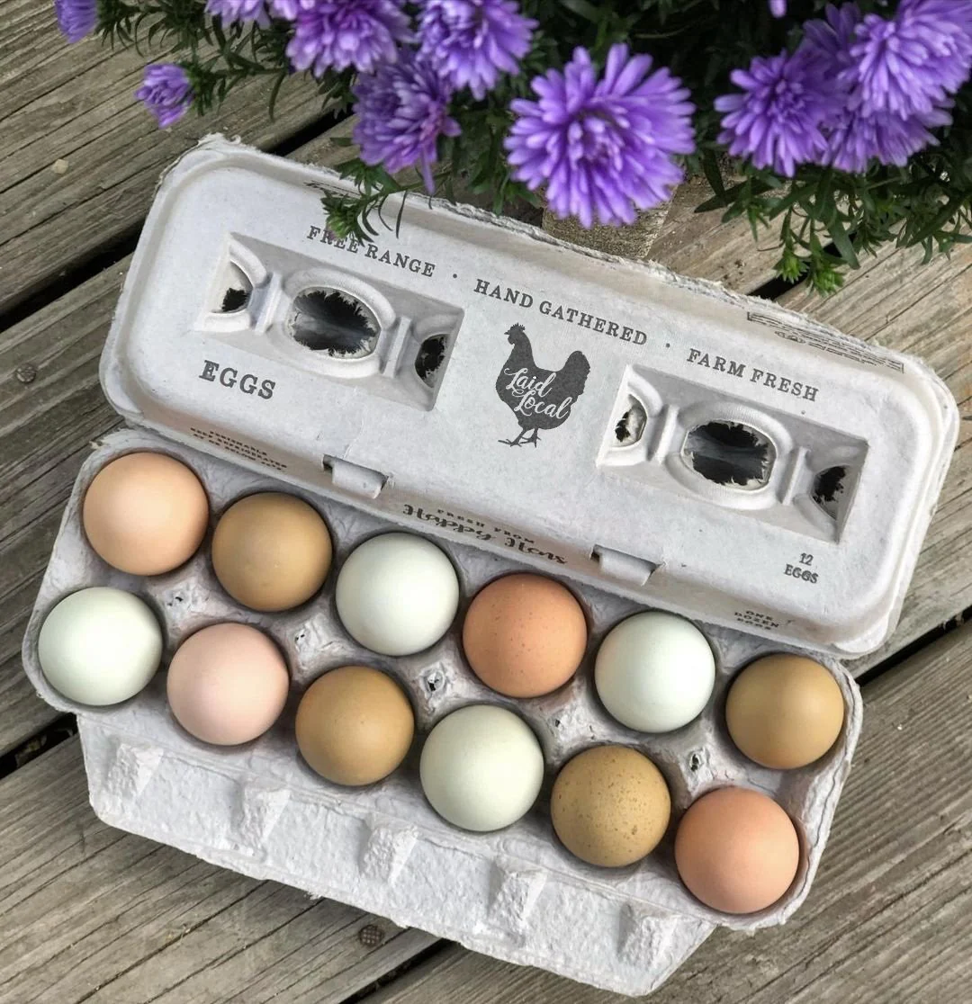 Henlay Laid Local Egg Cartons- Adorable Printed Vintage Design- 25, 90, or 250 - Buy Pet Shop