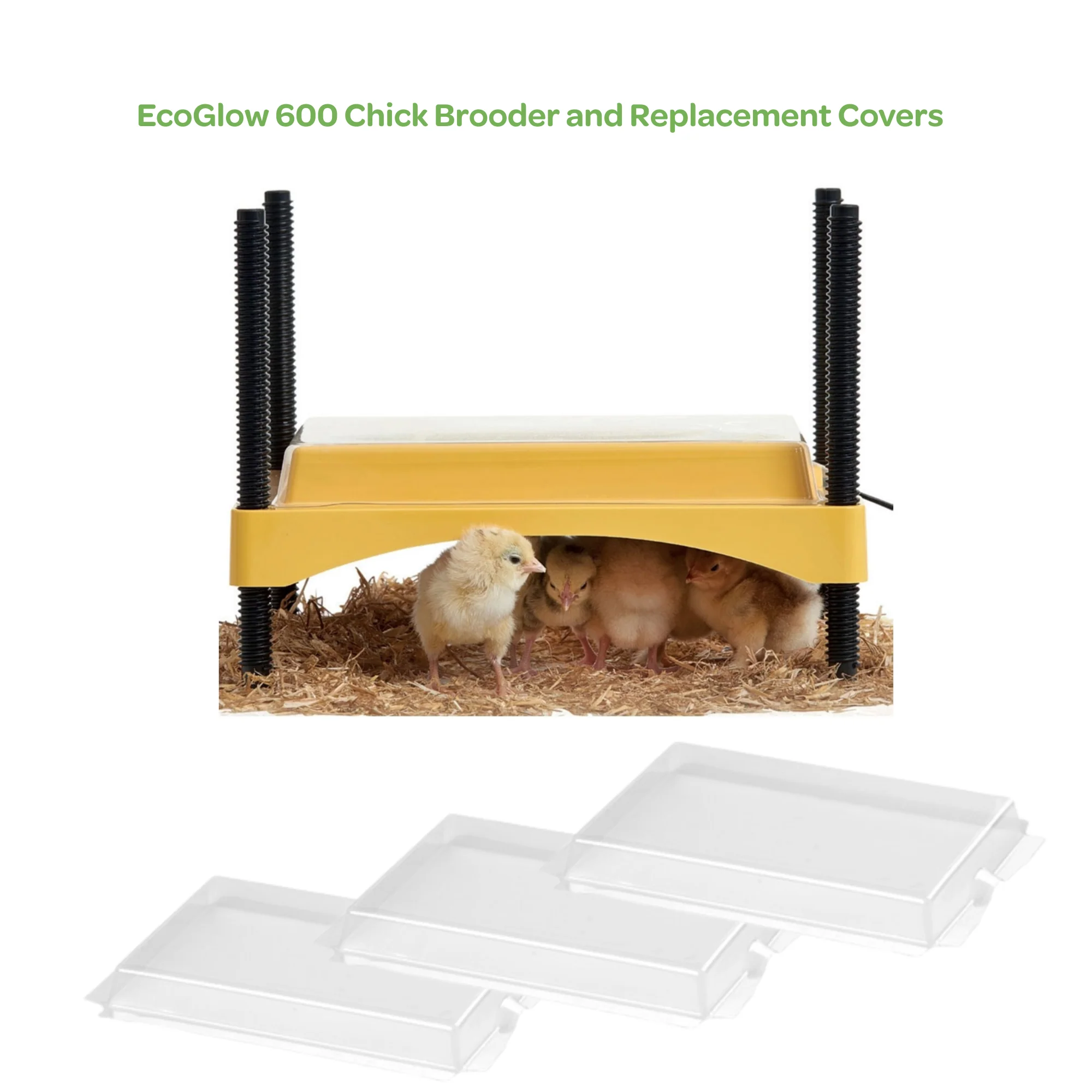 EcoGlow 600 Chick Brooder and Replacement Covers - Buy Pet Shop
