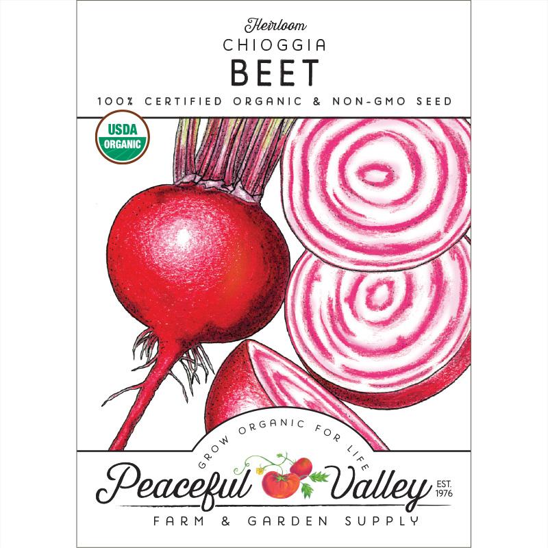 Chioggia Beet Seeds (Organic) - Buy Pet Shop