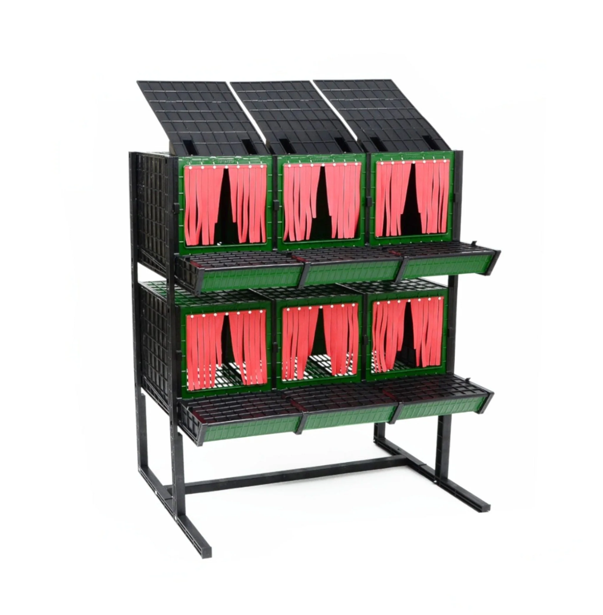 Front Collection Nesting Box - 6 Sections - Buy Pet Shop