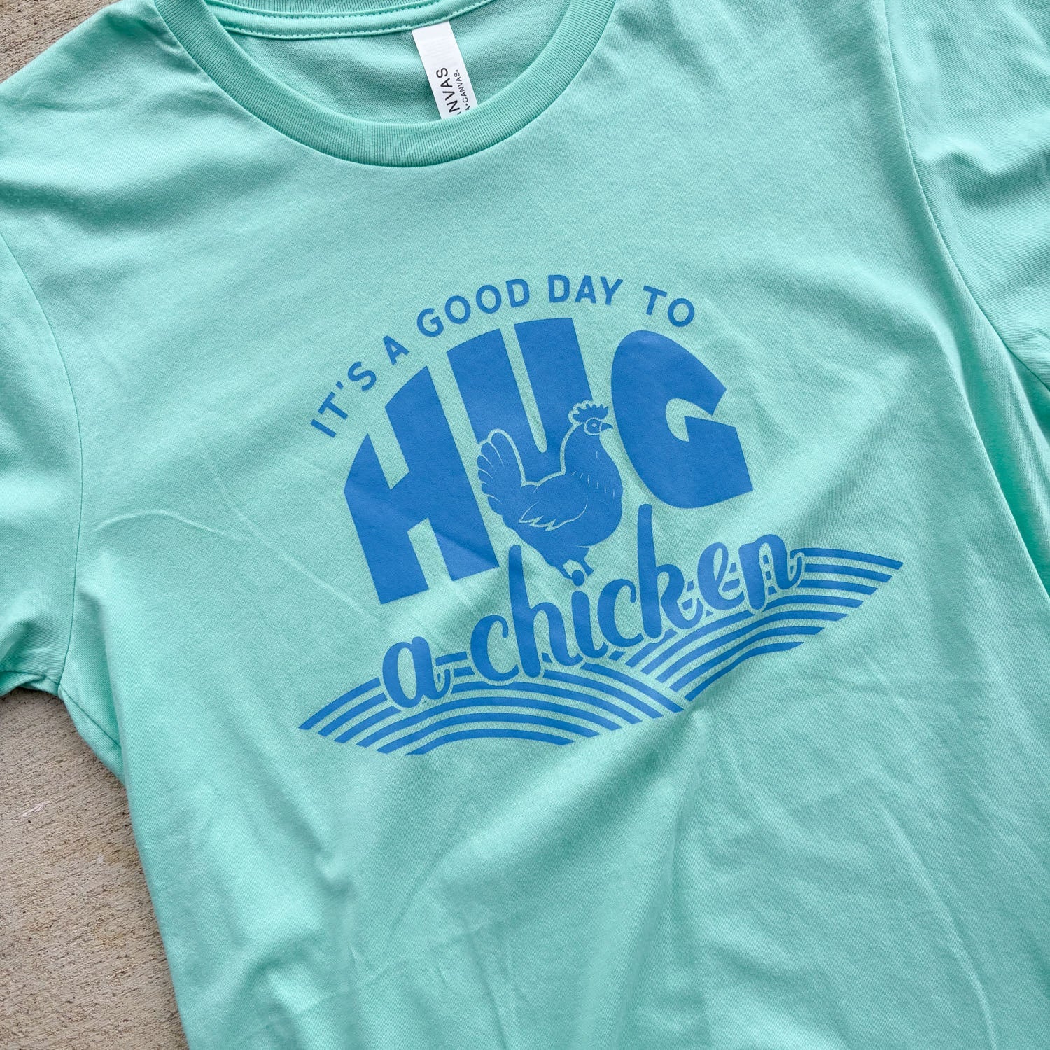 Hug A Chicken! T-Shirt - Buy Pet Shop