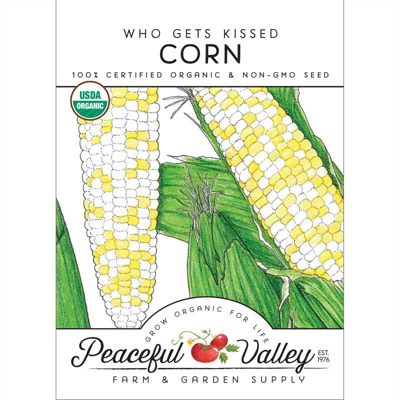 Who Gets Kissed Corn Seeds (Organic) - Buy Pet Shop