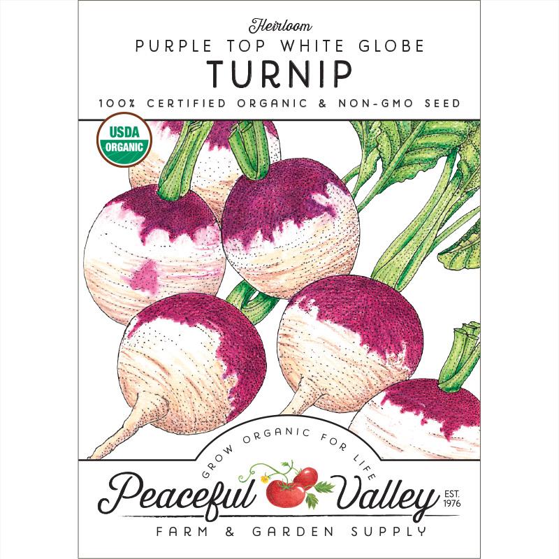 Purple Top White Globe Turnip Seeds (Organic) - Buy Pet Shop