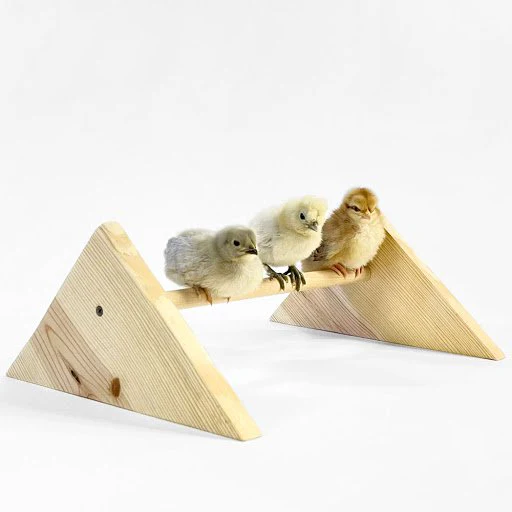 Chick Jungle Gym Kit, 3 size options - Buy Pet Shop