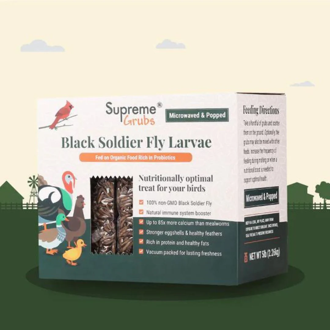 Supreme Grubs Black Soldier Fly Larvae, 2 Sizes - Buy Pet Shop