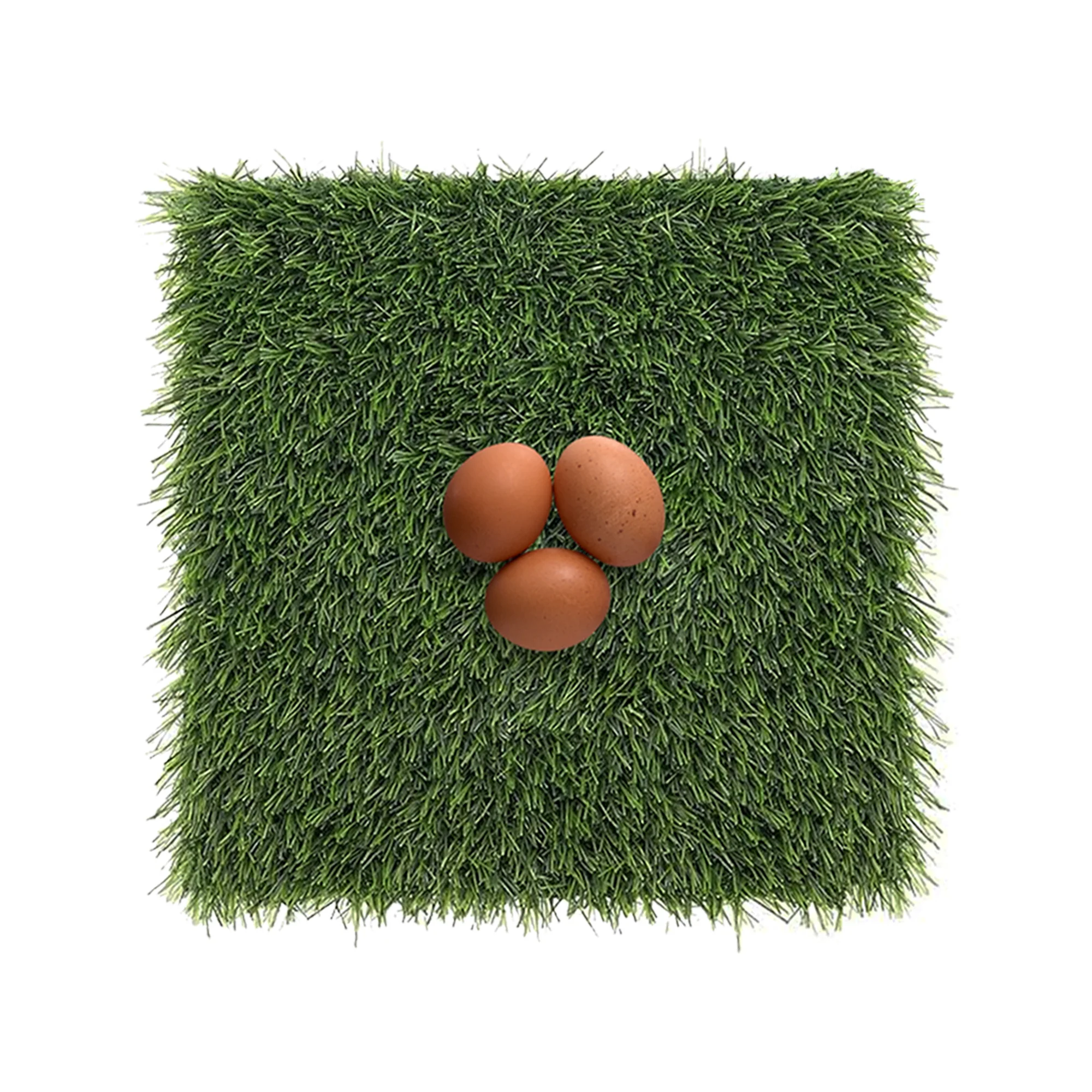 USA-Made Turf Nest Box Liner - Buy Pet Shop