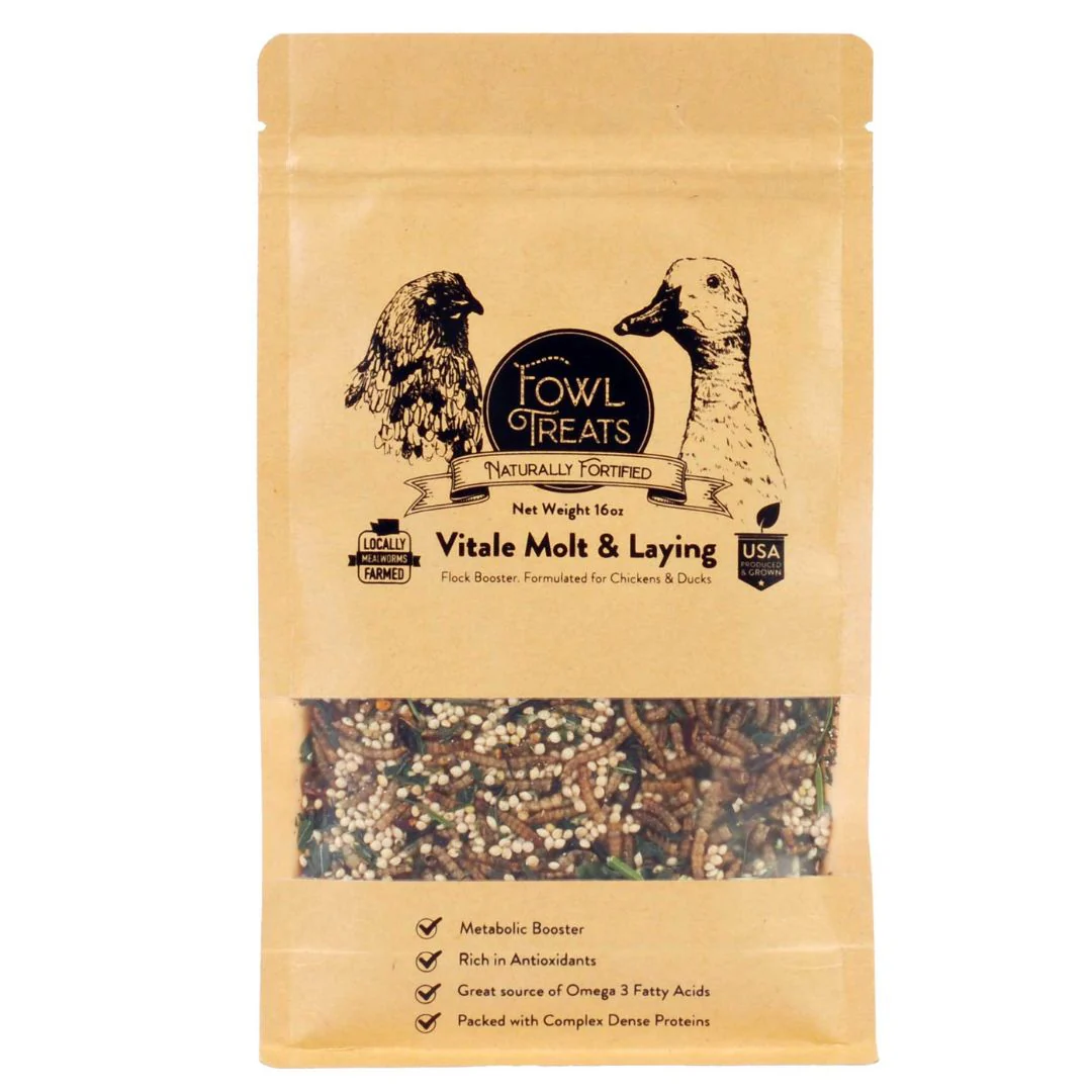 Fowl Treats Vitale Molt & Laying Blend, 16 oz - Buy Pet Shop