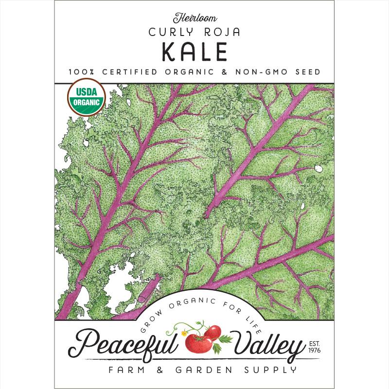 Curly Roja Kale Seeds (Organic) - Buy Pet Shop