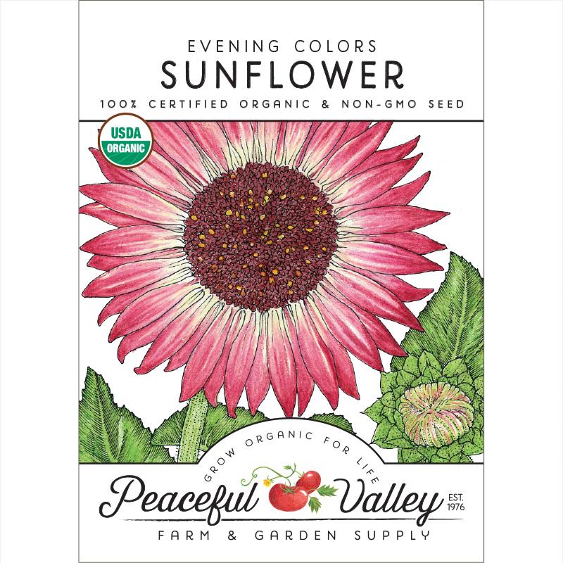 Evening Colors Sunflower Seeds (Organic) - Buy Pet Shop