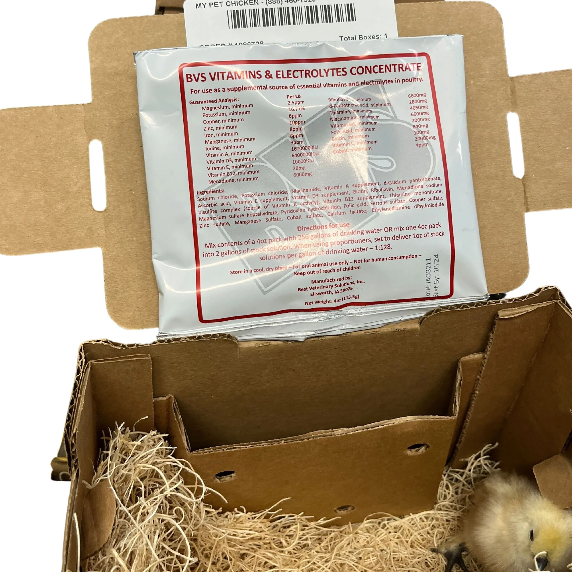 BVS Vitamins and Electrolytes, 4 oz Concentrate: Chick Order Add On - Buy Pet Shop