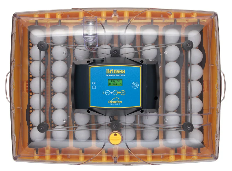 Ovation 56 Advance Digital Incubator (56 Eggs) - Buy Pet Shop