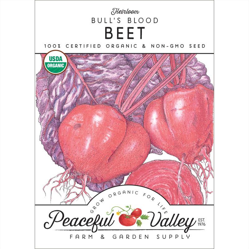 Bull's Blood Beet Seeds (Organic) - Buy Pet Shop
