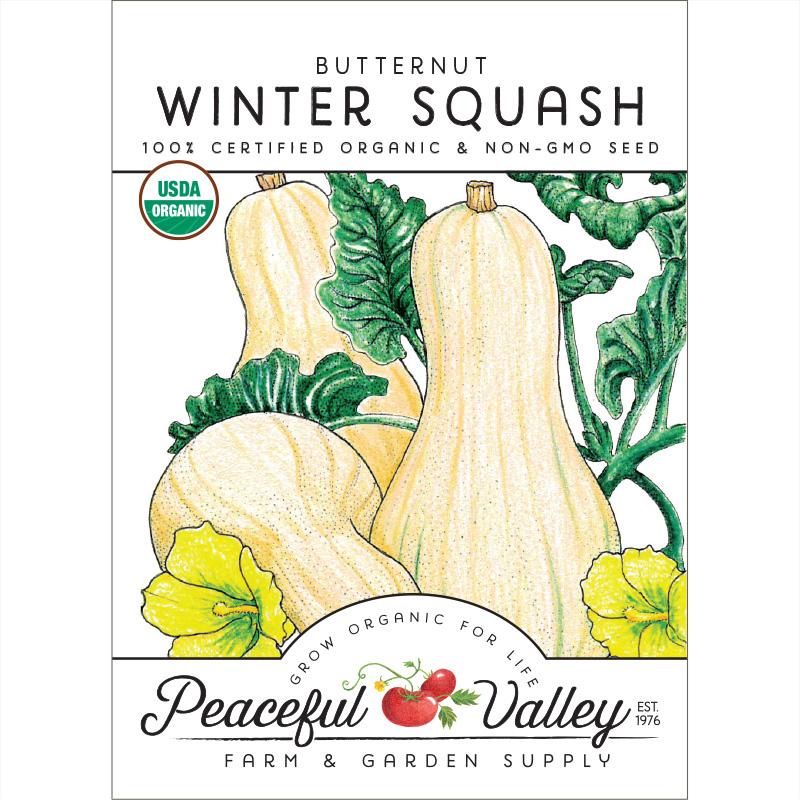 Butternut Winter Squash Seeds (Organic) - Buy Pet Shop