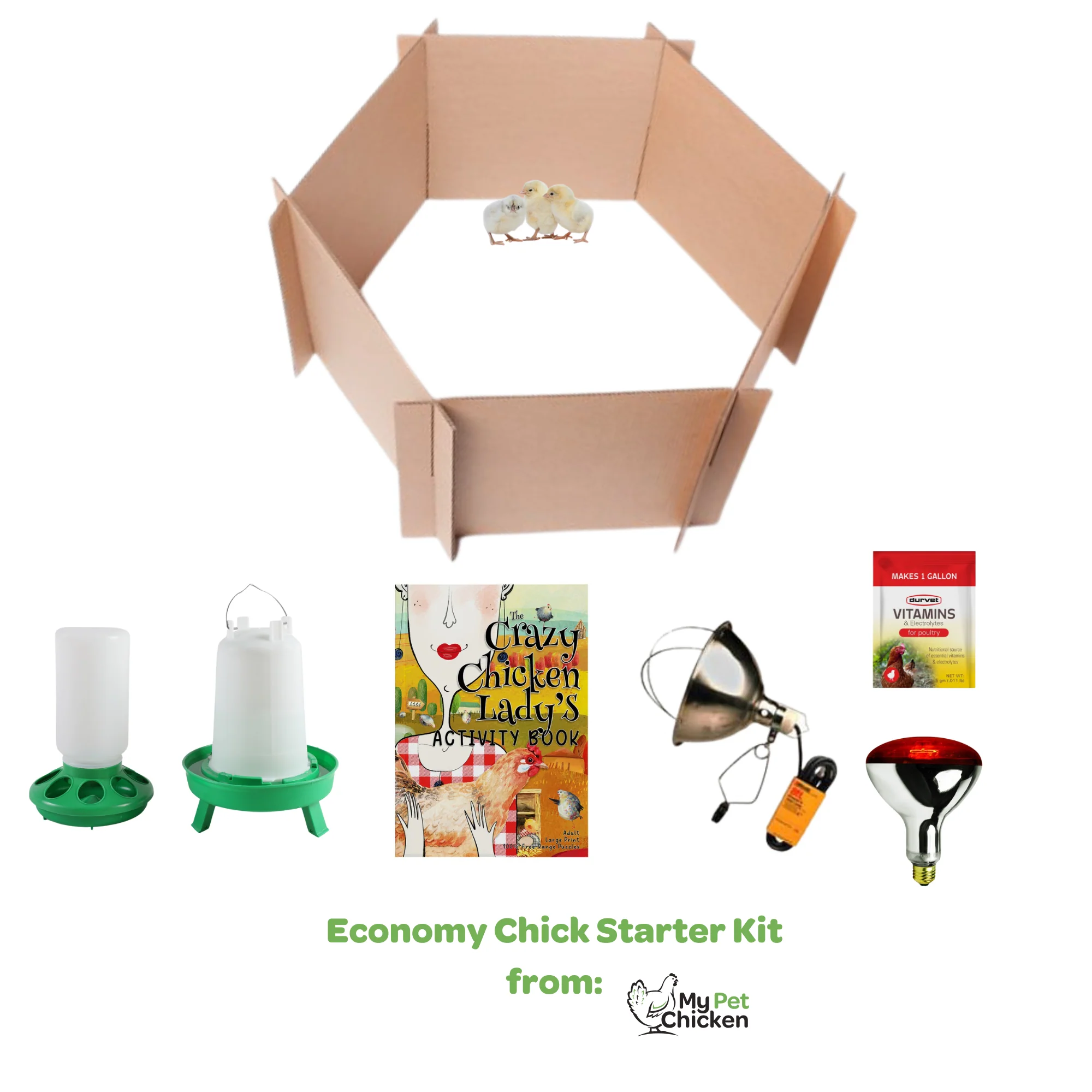Economy Chick Starter Kit - Buy Pet Shop